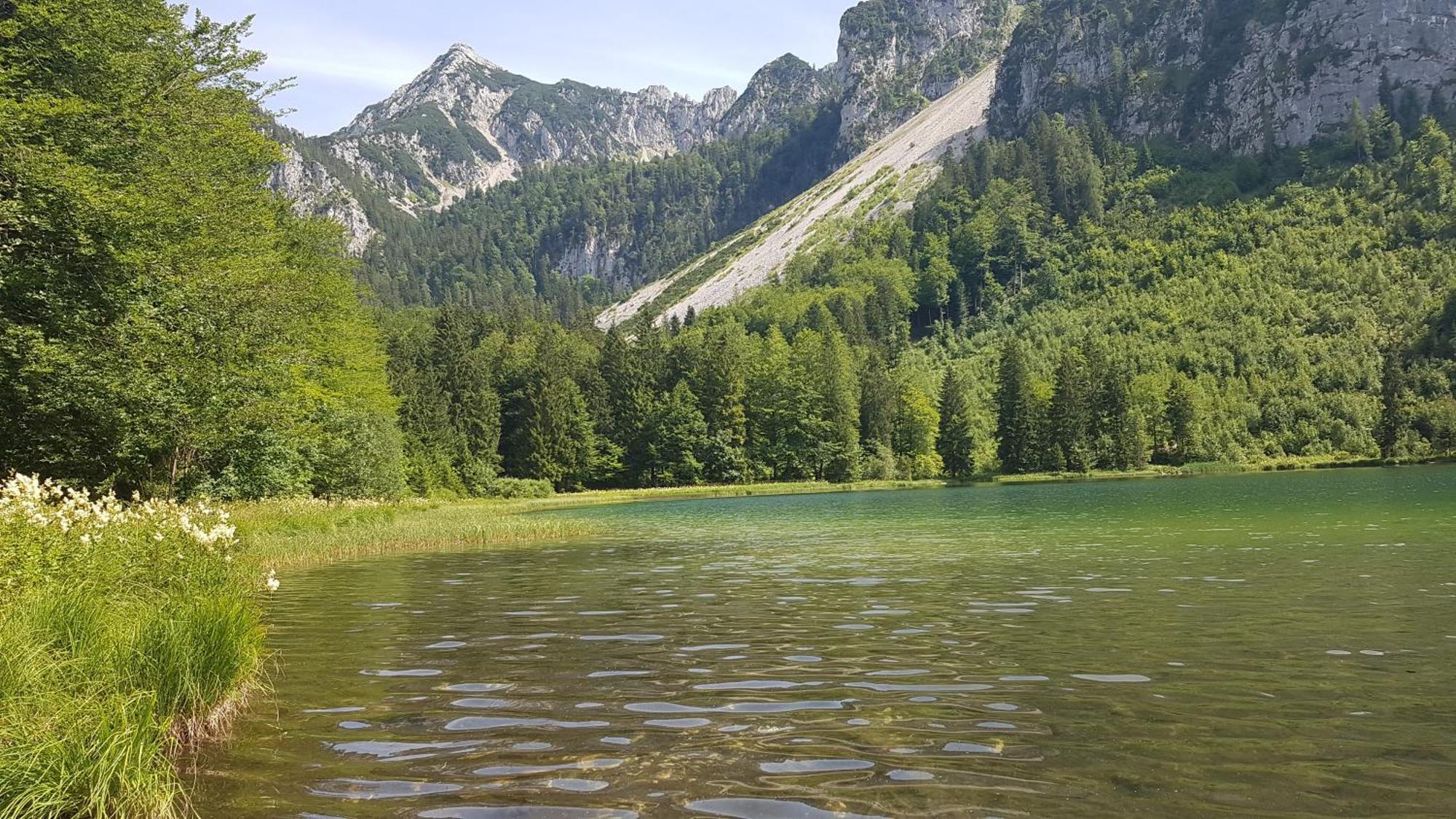 Ferienwohnung Hinterpommern - Chiemgaukarte Inzell Extérieur photo